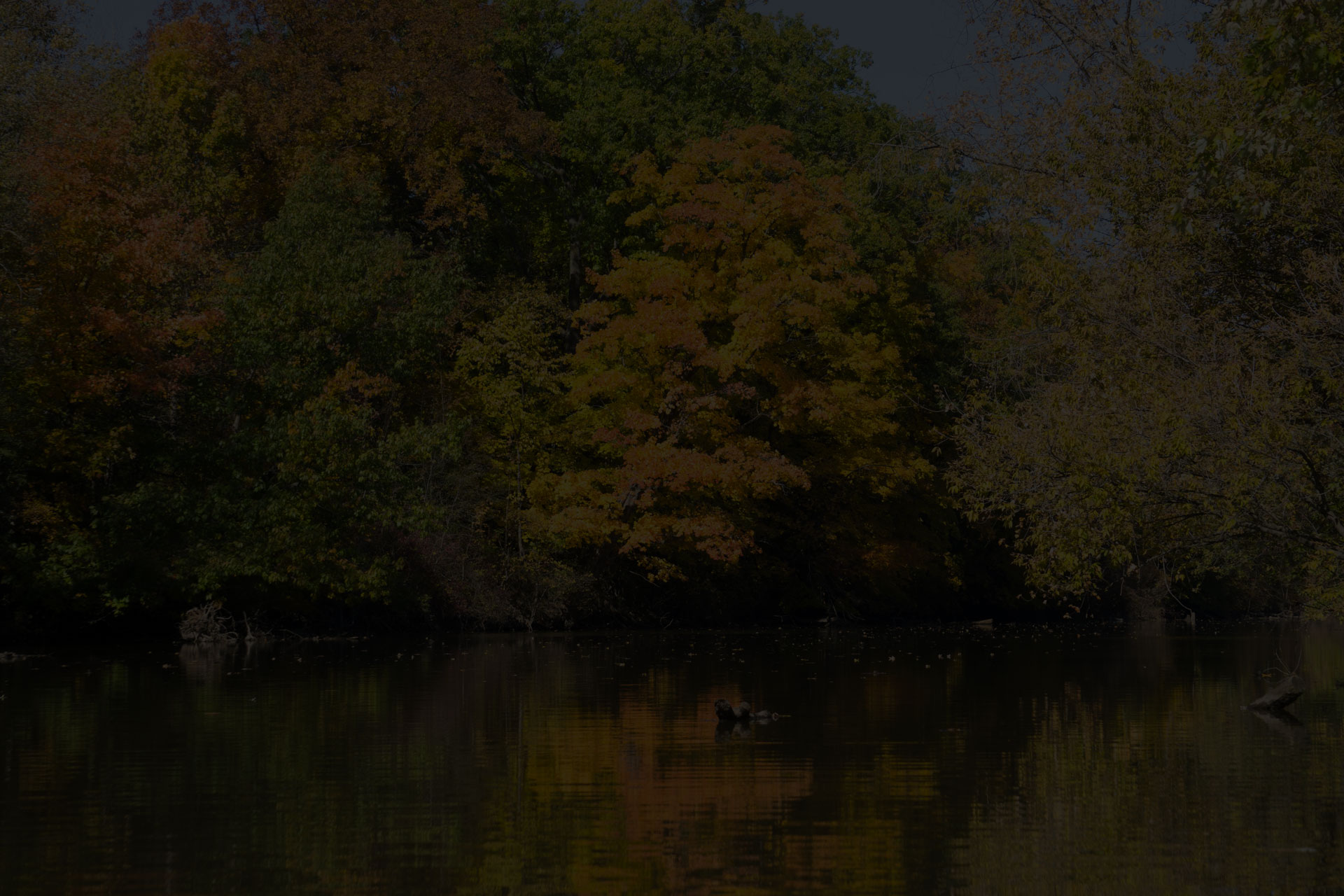 parallax background